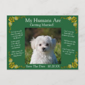 Your Pet Photo Save The Date Emerald Green & Gold Briefkaart (Voorkant)