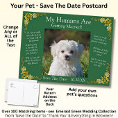 Your Pet Photo Save The Date Emerald Green & Gold Briefkaart