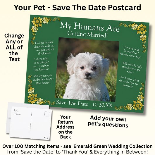 Your Pet Photo Save The Date Emerald Green & Gold Briefkaart
