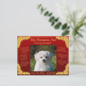 Your Pet Photo Save The Date Gold Roses Maroon Red Briefkaart (Staand voorkant)