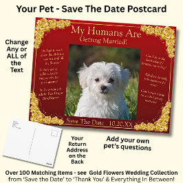 Your Pet Photo Save The Date Gold Roses Maroon Red Briefkaart