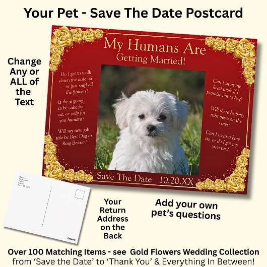 Your Pet Photo Save The Date Gold Roses Maroon Red Briefkaart