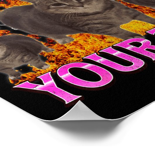 Your Toes Funny Cat Meme Bootleg Graphic Men Women Poster (Hoek)