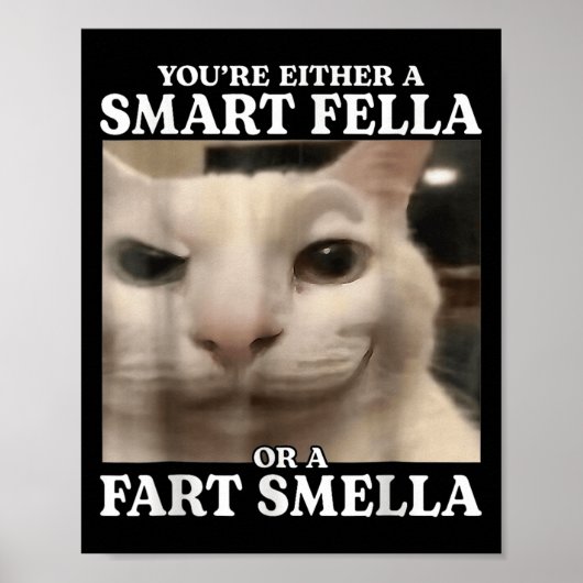 You're Either A Smart Fella Or A Fart Smella Cat F Poster (Voorkant)