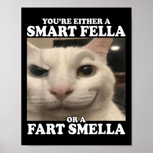You're Either A Smart Fella Or A Fart Smella Funny Poster (Voorkant)