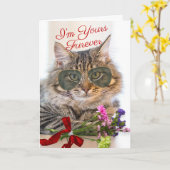Yours Furever Valentijn's Day Prachtige kat Kaart (Gele Bloem)