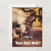 Yous Gots Milk? Briefkaart (Voorkant / Achterkant)
