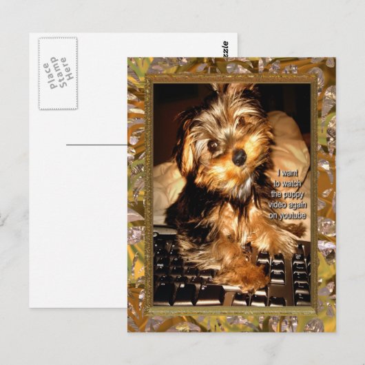 YouTube Yorkie Briefkaart (Voorkant / Achterkant)