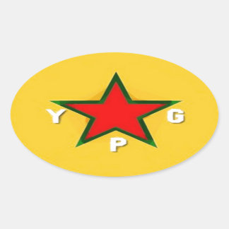 YPG LOGO 4 OVALE STICKER