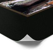 Ypsilon Lake, Colorado Foto Print (Hoek)