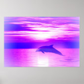 Ysundolphin Poster (Voorkant)