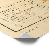 Yucatan, Mexico 2 Poster (Hoek)