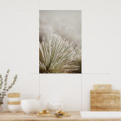 Yucca bedekt met rijp in de winter poster (Keuken)
