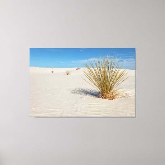 Yucca bij White Sands Canvas Afdruk (Voorkant)