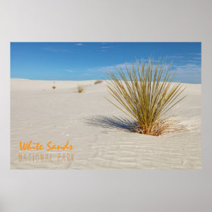Yucca bij White Sands Poster