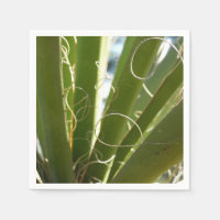Yucca Bladeren Groen Natuur Fotografie