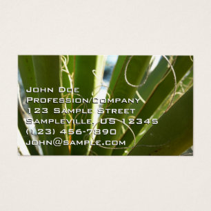 Yucca Bladeren Groen Natuurfotografie Visitekaartje
