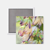 yucca bloemen magneet (Voorkant / Achterkant)