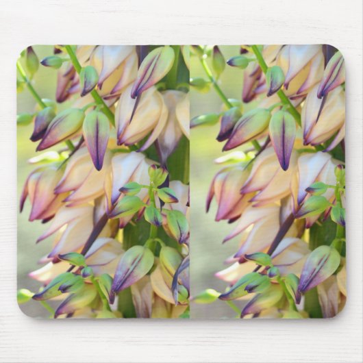 yucca bloemen mousepad muismat (Voorkant)