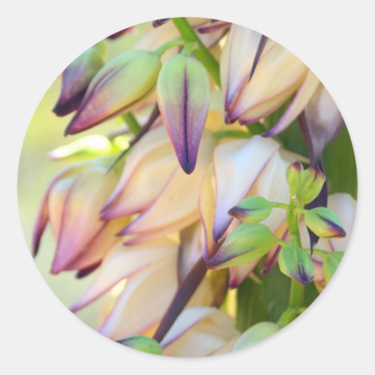 yucca bloemen sticker (Voorkant)