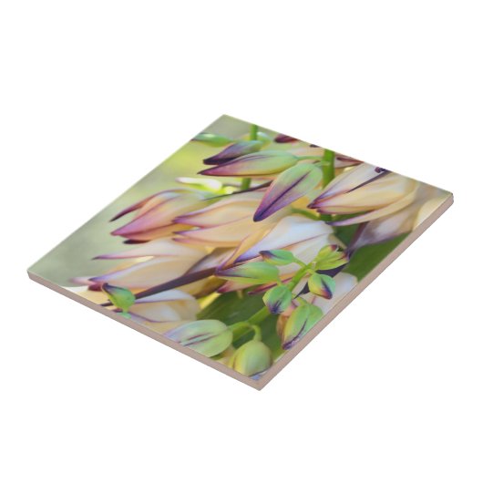 yucca bloementel tegeltje (Zijkant)