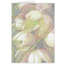 Yucca Blooms in gekleurd potlood