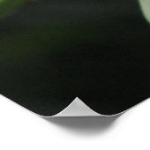 Yucca Blooms Poster (Hoek)