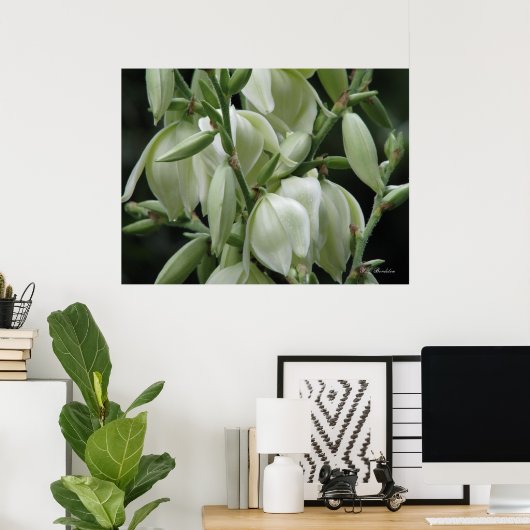 Yucca Blooms Poster (Thuiskantoor)