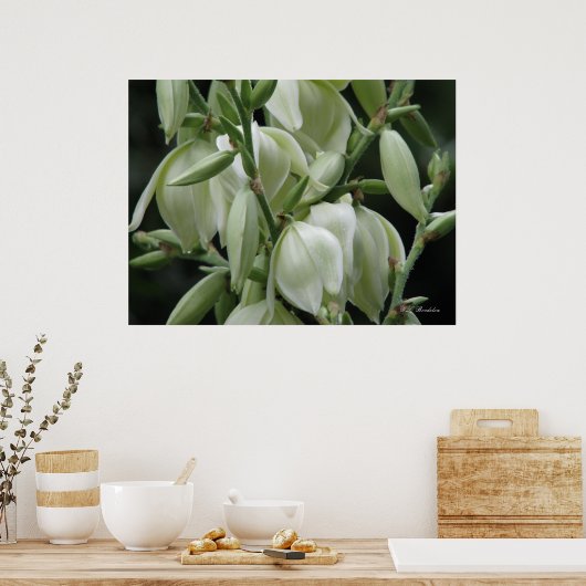 Yucca Blooms Poster (Keuken)