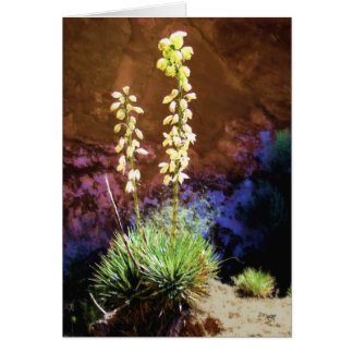 Yucca Flowers in Capitolreef