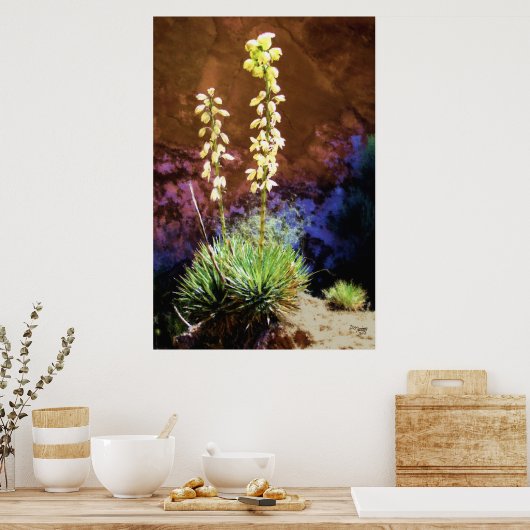Yucca Flowers in Capitolreef Poster (Keuken)