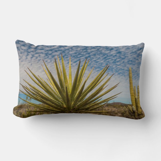 Yucca in de woestijn, Mexico Kussen (Voorkant)