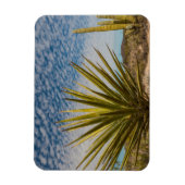 Yucca in de woestijn, Mexico Magneet (Verticaal)