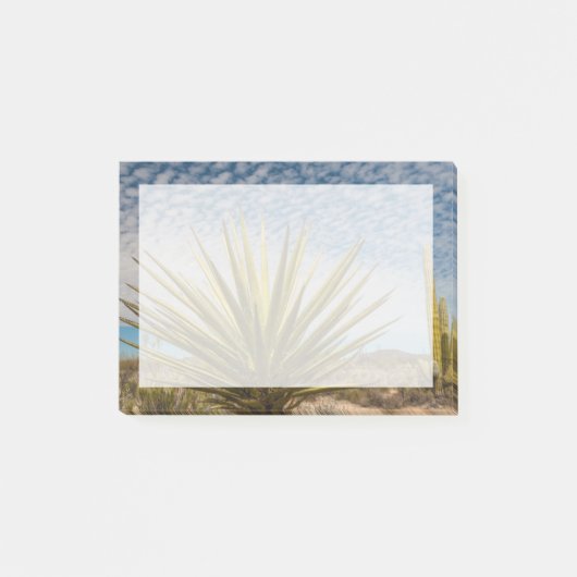 Yucca in de woestijn, Mexico Post-it® Notes (Voorkant)