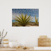 Yucca in de woestijn, Mexico Poster (Keuken)