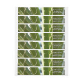 Yucca laat groene Natuur fotografie (Vel)