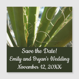 Yucca laat groene Natuur fotografie