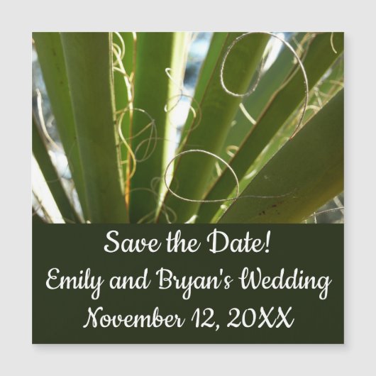 Yucca laat groene Natuur fotografie (Voorkant)