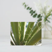 Yucca laat groene Natuur fotografie Briefkaart (Staand voorkant)