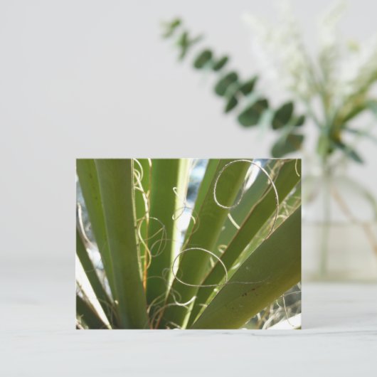 Yucca laat groene Natuur fotografie Briefkaart (Staand voorkant)