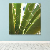 Yucca laat groene Natuur fotografie Canvas Afdruk (Insitu (Houten vloer))