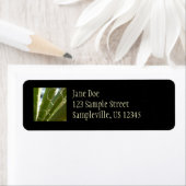 Yucca laat groene Natuur fotografie Etiket (Insitu)