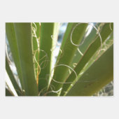 Yucca laat groene Natuur fotografie Inpakpapier Vel (Voorkant)