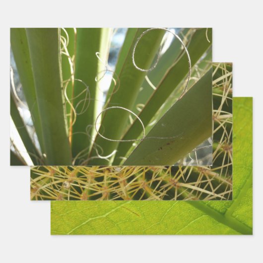 Yucca laat groene Natuur fotografie Inpakpapier Vel (Set)