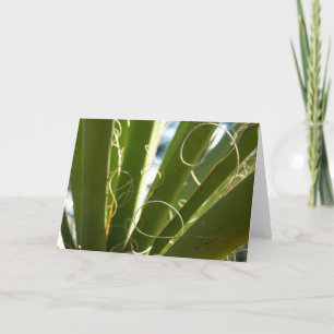 Yucca laat groene Natuur fotografie Kaart