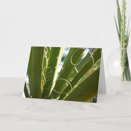 Yucca laat groene Natuur fotografie Kaart (Voorkant)