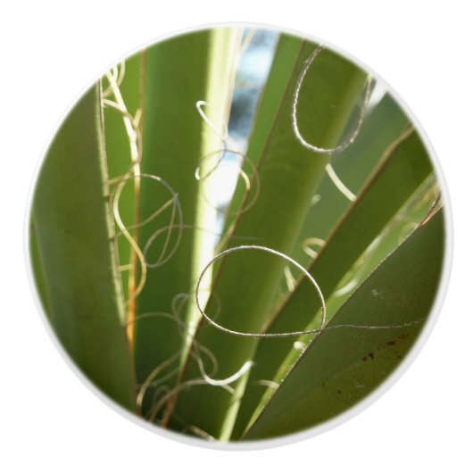 Yucca laat groene Natuur fotografie Keramische Knop (Voorkant)