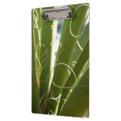 Yucca laat groene Natuur fotografie Klembord (Links)