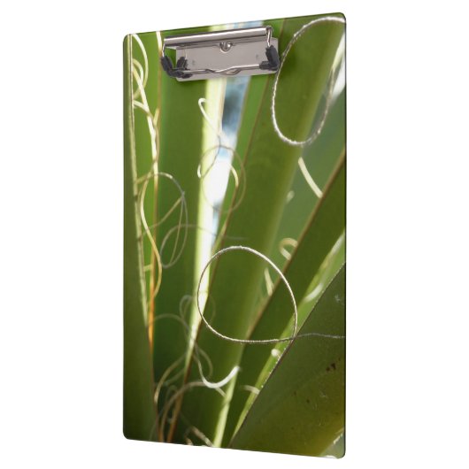 Yucca laat groene Natuur fotografie Klembord (Links)