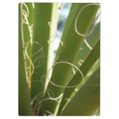 Yucca laat groene Natuur fotografie Klembord (Achterkant)